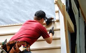 Best Custom Siding Design  in Jeffersonville, IN